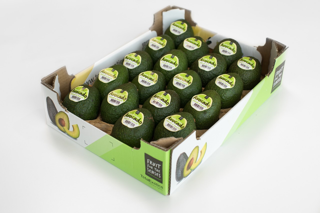 The Benefits of Avocado Boxes - Serving Food That Rocks
