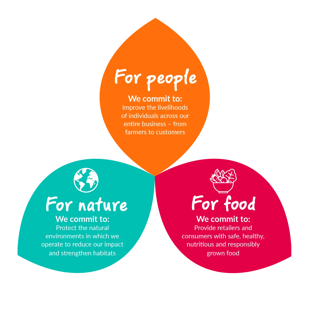 The Dole Way image