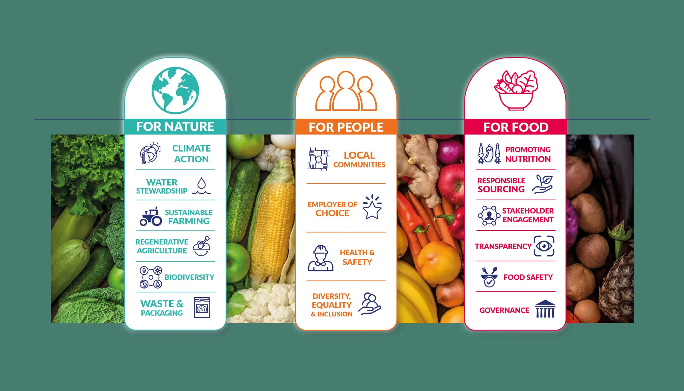 Areas of Focus graphic