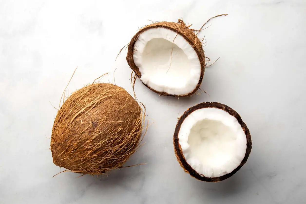 Coconut image